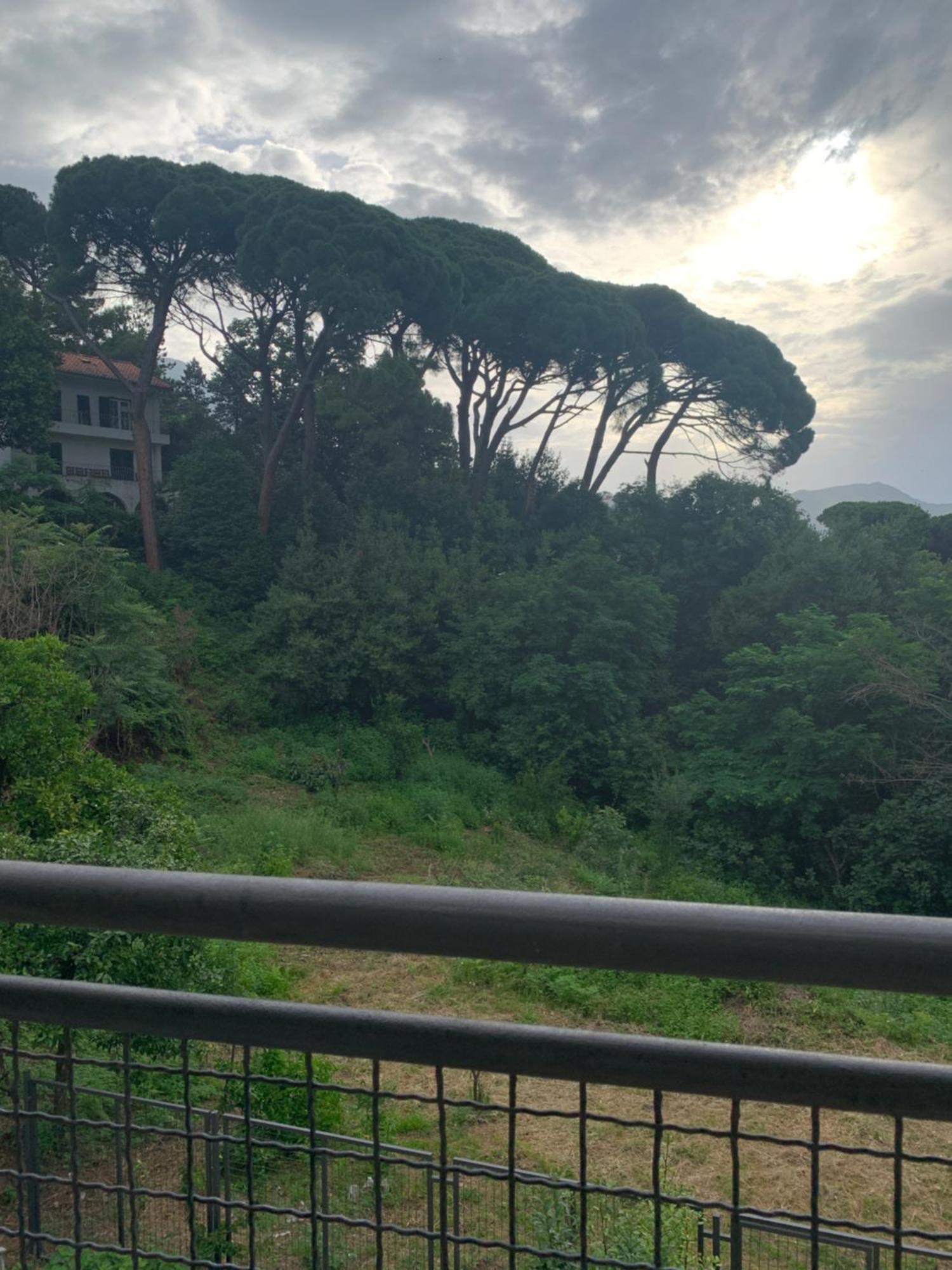 Villa Monte Boutique Apartments In Herceg Novi Exteriör bild