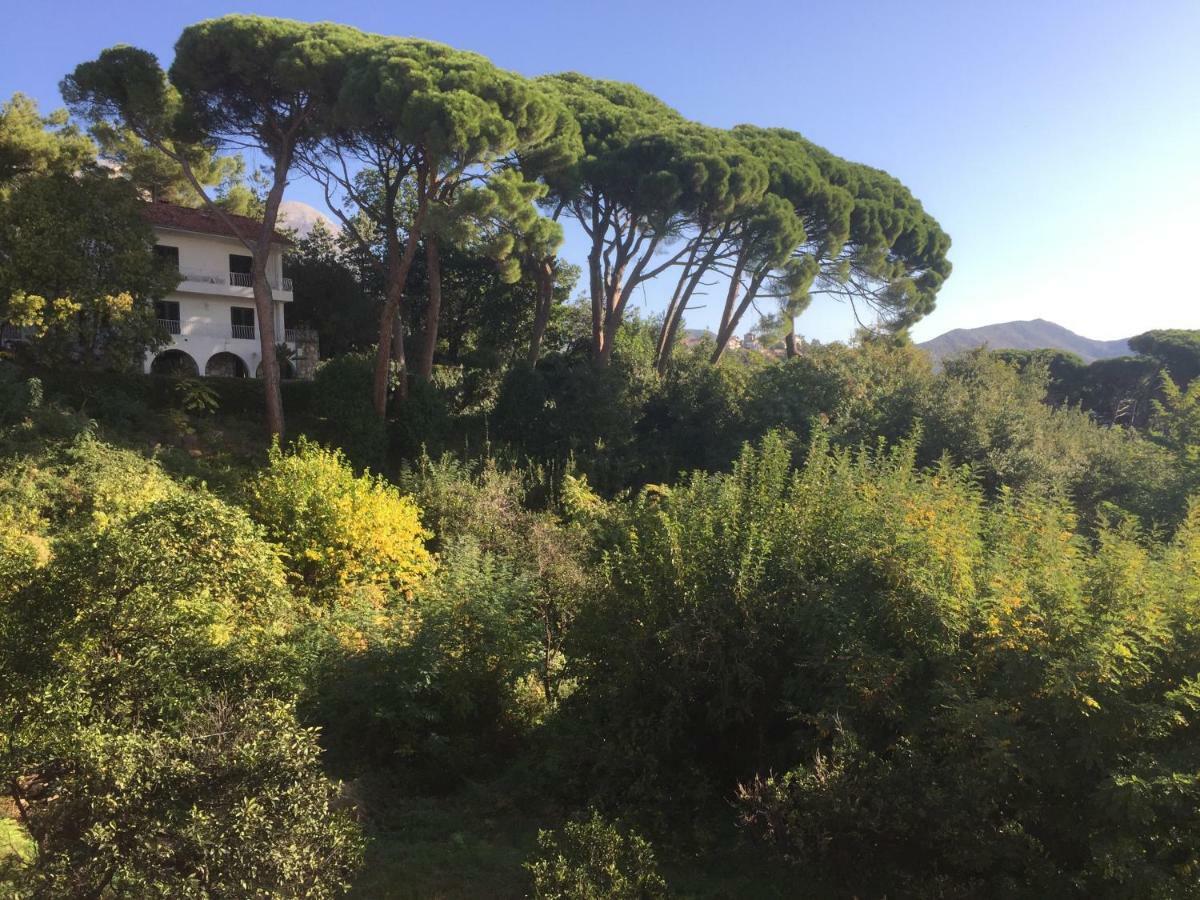 Villa Monte Boutique Apartments In Herceg Novi Exteriör bild